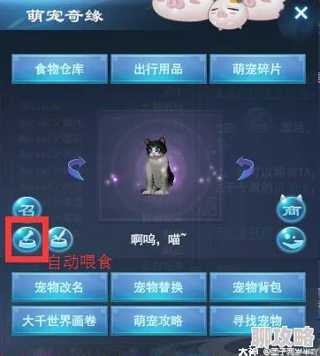 2025倩女幽魂手游呆萌喵坐骑全新获得攻略，解锁呆萌喵萌宠新风尚