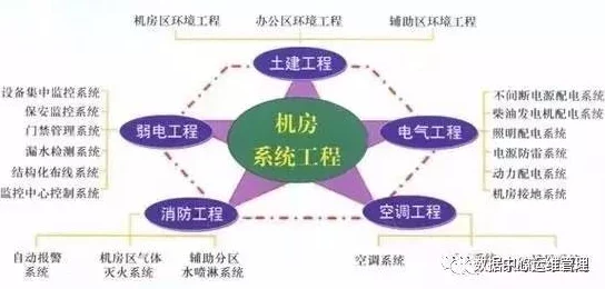 深入解析SPINE：全面了解其核心内容与功能