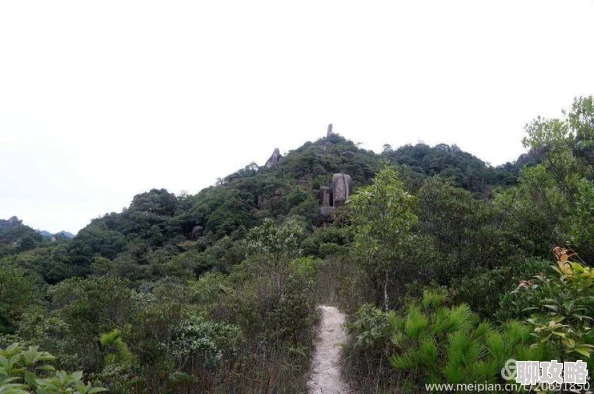 江湖太极阁迷雾揭秘：开派弯路与经验分享指南
