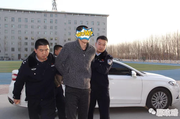 犯罪大师守岁宴谜底揭晓：详细解析与答案