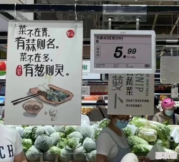 全能斗士最强阵容搭配指南：6套顶级阵容推荐与解析