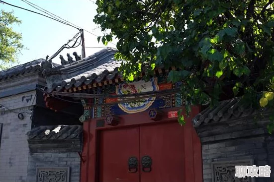 魔兽世界怀旧服钓鱼指南：轻松升级技巧与最佳地点