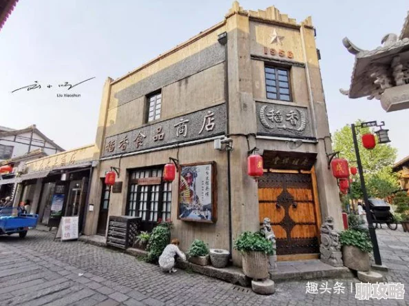《某某朝的女子乐坊》零氪玩家攻略：必知注意事项与技巧
