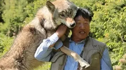 饥荒冬季Boss攻略详解：如何轻松击败寒冬巨兽