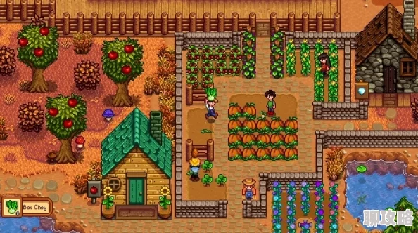 星露谷物语红叶卷心菜种植指南：丰收秘诀与技巧分享