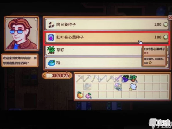 星露谷物语红叶卷心菜种植指南：丰收秘诀与技巧分享