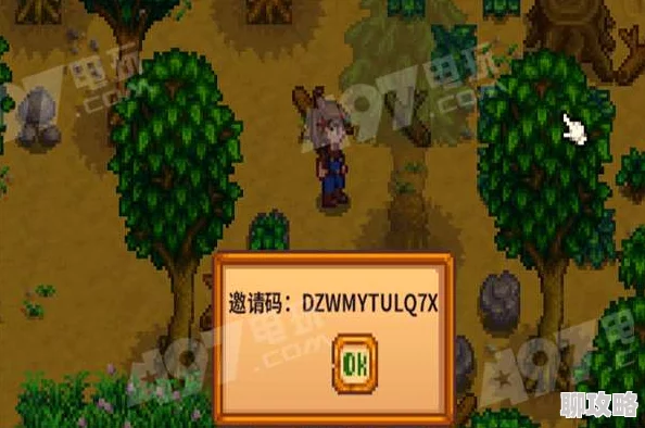 星露谷物语联机模式推荐指南：选择最佳合作方式