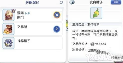 猫灵相册服装获取方法,详细途径介绍及步骤解析