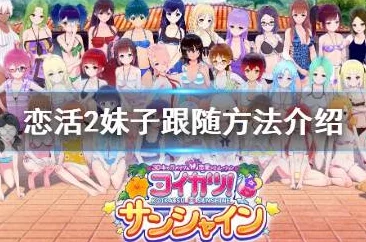 恋活Sunshine全方位攻略指南_全面掌握恋活Sunshine技巧秘籍