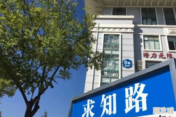 2025年热门游戏阵容通关策略：控制技能使用的核心重要性深度分析