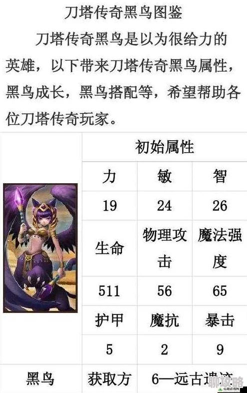 2025年刀塔传奇热门英雄黑鸟深度分析：橙装搭配与战术新趋势