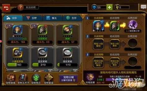 2025年火炬之光手游竞技场PK新技巧与热门战术分享