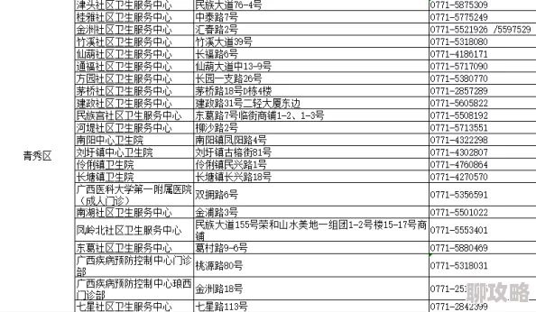 2025年热门命运冠位指定四星礼装排行及最新强度解析