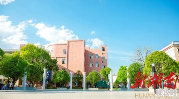 2025年热门职业趋势：更多选择下新手职业选择推荐，哪个职业更具前景？