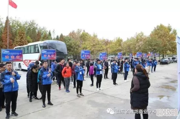 2025年热门职业趋势：更多选择下新手职业选择推荐，哪个职业更具前景？