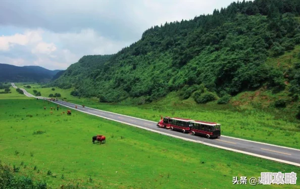 2025年全民突击攻略：解锁困难模式危险丛林最新通关技巧