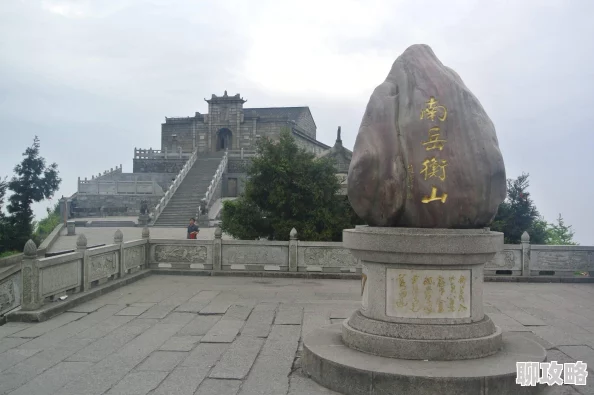 2025年热门游戏攻略：三国杀传奇40条必备小技巧与最新玩法总结