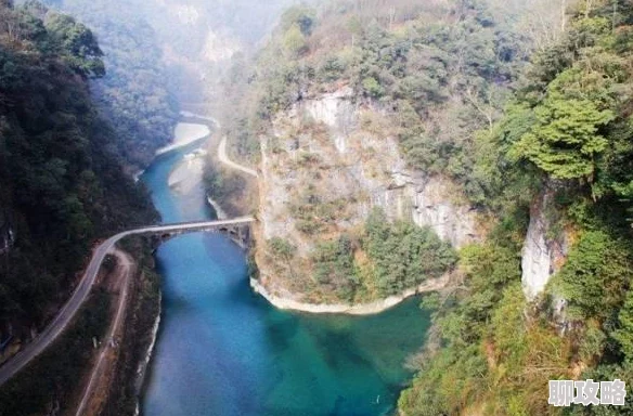 2025热门解读：一小时人生平原植物全览及高效获得方法详解