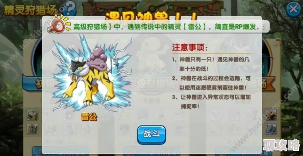 2025年热门口袋妖怪复刻：高效捕捉雷公技巧与最新攻略指南