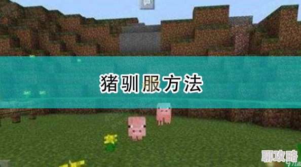 2025年热门游戏攻略：我的世界高效驯服猪作为创新坐骑的实用方法分享