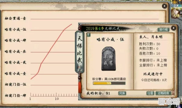 2025年大话西游手游天梯升段最新技巧与热门策略分享