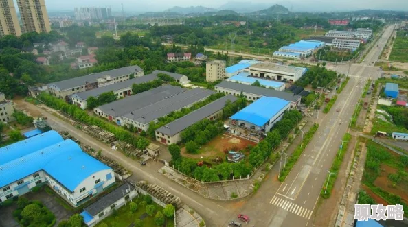 2025年热门天下手游召唤兽攻击属性详解与使用技巧全攻略