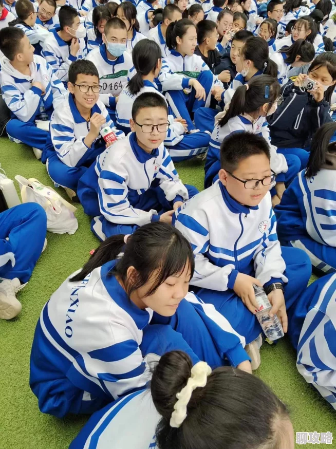 2025年口袋妖怪VS体力高效获得方法攻略：融合最新游戏机制与热门技巧